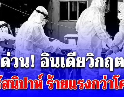 ด่วน! อินเดียวิกฤต สั่งล็อกดาวน์กลุ่มเสี่ยงกักตัวนับร้อย เร่งสกัด ไวรัสนิปาห์ อุบัติขึ้นครั้งแรกในรอบ 19 ปี ร้ายแรงกว่าโควิด