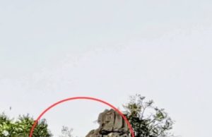 ปังรับปีใหม่! เลียงผาโชว์ตัวเขาสามร้อยยอด สัญญาณดีป่าสมบูรณ์