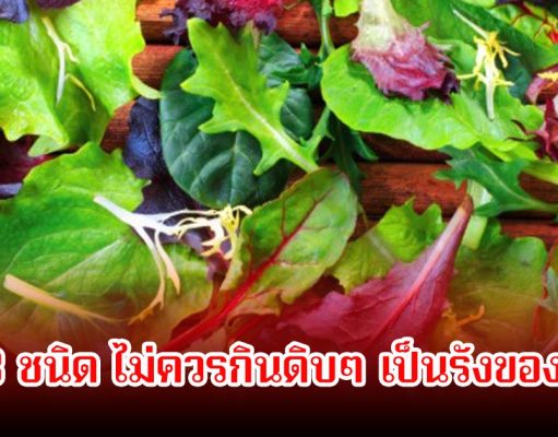 หลายคนกินบ่อยมาก! ผัก 3 ชนิด ไม่ควรกินดิบๆ เป็นรังของพยาธิ เลี่ยงได้เลี่ยงดีที่สุด
