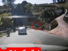 คลิปนาทีระทึก! เก๋งขึ้นเนิน “ภูทับเบิก” ไม่ไหว ไหลตกเขาตีลังกาล้อชี้ฟ้า เจ็บ 4 ราย