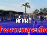 ด่วน! โรงงานพลุระเบิด ในพื้นที่ อ.ดอนเจดีย์