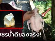 ผ่าเป็ดเจอหินใสๆ เมียบอกเอาไปทิ้ง ผัวชอบแอบเก็บไว้ กลายเป็นของดีราคา 400 ล้าน!