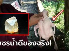 ผ่าเป็ดเจอหินใสๆ เมียบอกเอาไปทิ้ง ผัวชอบแอบเก็บไว้ กลายเป็นของดีราคา 400 ล้าน!