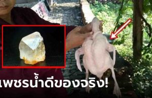 ผ่าเป็ดเจอหินใสๆ เมียบอกเอาไปทิ้ง ผัวชอบแอบเก็บไว้ กลายเป็นของดีราคา 400 ล้าน!