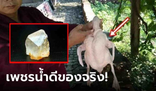 tagline-template-update-april-5