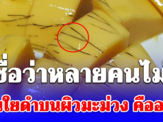 กระจ่างแล้ว! เส้นใยดำบนผิวมะม่วง คืออะไร เชื่อว่าหลายคนไม่รู้