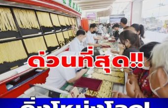 ราคาทองคำวันนี้ 25 มีนาคม 2569 ประกาศครั้งเดียว…ดูเพิ่มเติม..