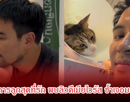 เกรท วรินทร น้ำตาซึม เผยอาการลูกสุดที่รัก พบลิวคีเมียไวรัส ซ้ำเจอมะเร็งต่อมน้ำเหลืองอีก