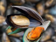 ไขข้อสงสัย! หอยแมลงภู่สีส้ม vs สีขาว ต่างกันยังไง สีไหนอร่อยกว่า?