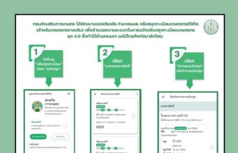 เตรียมตัวให้พร้อม เกษตรกรอย่าลืมปรับปรุงข้อมูล 2569 รอรับเยียวยา ตามมาตรการ