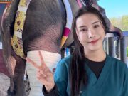 บีบหัวใจ หมอโบว์ ยอมรับตรงๆ อาการ “พลายเดียว” ครบ 1 เดือน น่าห่วงมาก