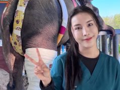 บีบหัวใจ หมอโบว์ ยอมรับตรงๆ อาการ “พลายเดียว” ครบ 1 เดือน น่าห่วงมาก