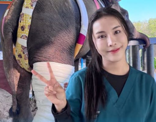 บีบหัวใจ หมอโบว์ ยอมรับตรงๆ อาการ “พลายเดียว” ครบ 1 เดือน น่าห่วงมาก