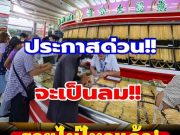 ราคาทองคำวันนี้ 26 มีนาคม 2569 ประกาศครั้งที่ 1