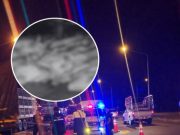 สลด! รถพ่วงบรรทุกปุ๋ยชนรถขนหมู ยับ 4 คันซ้อน หมูดับเกลื่อน