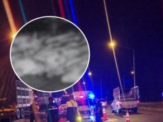 สลด! รถพ่วงบรรทุกปุ๋ยชนรถขนหมู ยับ 4 คันซ้อน หมูดับเกลื่อน