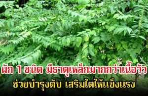 ไทยมีเพียบ! ผัก 1 ชนิด มีธาตุเหล็กมากกว่าเนื้อวัว ถูกยกย่องว่าเป็น โสมของคนจน