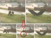 เปิดรายชื่อจังหวัด เจอฝนถล่มคืนนี้…