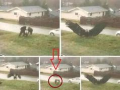 เปิดรายชื่อจังหวัด เจอฝนถล่มคืนนี้…