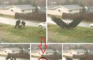 เปิดรายชื่อจังหวัด เจอฝนถล่มคืนนี้…