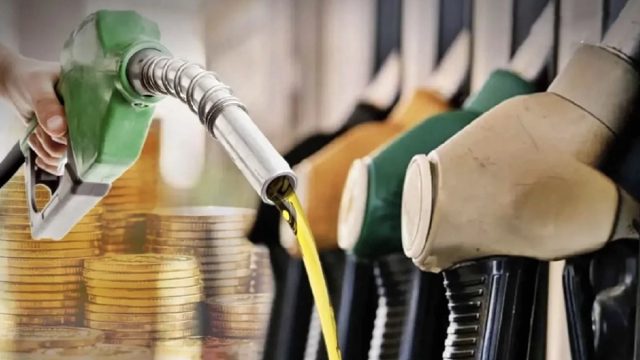 656829983_1262110329359361_2285729239204511869_n