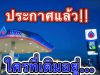 ประกาศแล้ว!! ราคาน้ำมันพรุ่งนี้ (28 มี.ค. 69)