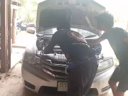 เปิดเลขทะเบียนรถ งูจงอางตัวใหญ่ แอบซุกห้องเครื่องรถเก๋ง