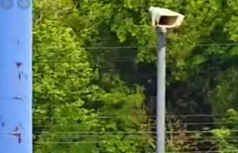 News อาการล่าสุด “ไบค์เกอร์สาวชื่อดัง” ความจำหาย หมอสั่งเช็กสมองด่วน