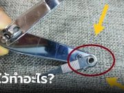 ไขข้อข้องใจ รูกลมเล็กๆ บนด้ามจับ “กรรไกรตัดเล็บ” มีประโยชน์อย่างไร?