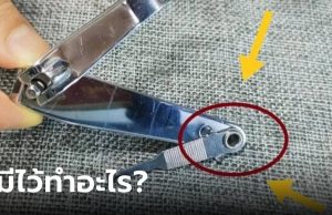 ไขข้อข้องใจ รูกลมเล็กๆ บนด้ามจับ “กรรไกรตัดเล็บ” มีประโยชน์อย่างไร?