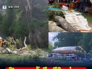 สุดเศร้า! เปิดยอดผู้เสียชีวิตล่าสุด เหตุต้นไม้ใหญ่บนหน้าผาหักโค่นทับเต็นท์งานประจำปี