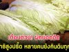 เตือนด่วน! ผักยอดฮิต พยาธิสูงปรี๊ด หลายคนยังกินดิบทุกวัน