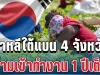 ด่วนที่สุด! เกาหลีใต้สั่งแบนแรงงานไทย 4 จังหวัด ห้ามเข้าทำงาน 1 ปีเต็ม