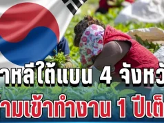 ด่วนที่สุด! เกาหลีใต้สั่งแบนแรงงานไทย 4 จังหวัด ห้ามเข้าทำงาน 1 ปีเต็ม