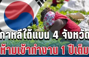ด่วนที่สุด! เกาหลีใต้สั่งแบนแรงงานไทย 4 จังหวัด ห้ามเข้าทำงาน 1 ปีเต็ม
