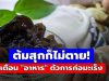 พบ “ตัวการ” ก่อมะเร็งตับ! หมอเตือนพิษร้ายกว่าสารหนู 68 เท่า แต่หลายบ้านยังกินซ้ำๆ