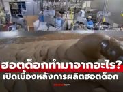 เปิดเบื้องหลัง “ฮอตด็อกทำมาจากอะไร” รู้แล้วอาจกินไม่ลงอีกเลย