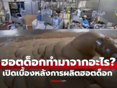 เปิดเบื้องหลัง “ฮอตด็อกทำมาจากอะไร” รู้แล้วอาจกินไม่ลงอีกเลย