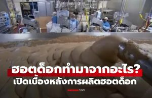 เปิดเบื้องหลัง “ฮอตด็อกทำมาจากอะไร” รู้แล้วอาจกินไม่ลงอีกเลย