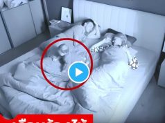 (คลิป) วุ่นทั้งบ้าน “ลูกหาย” ตอนเที่ยงคืน งานนี้ชาวเน็ตอวยยศ หมานี่แหละฮีโร่ตัวจริง!