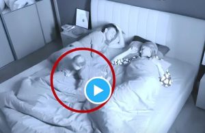 (คลิป) วุ่นทั้งบ้าน “ลูกหาย” ตอนเที่ยงคืน งานนี้ชาวเน็ตอวยยศ หมานี่แหละฮีโร่ตัวจริง!