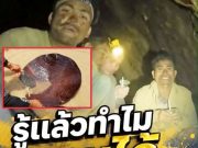 รู้แล้วตกใจ 5 คนลาวติดถ้ำ กินไม้ร่อนทองประทังชีวิต เผยสาเหตุทานได้