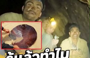 รู้แล้วตกใจ 5 คนลาวติดถ้ำ กินไม้ร่อนทองประทังชีวิต เผยสาเหตุทานได้