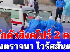 สิงคโปร์กักตัว 2 พลเมืองหลังลงจากเรือสำราญ สั่งตรวจหา ไวรัสฮันตา