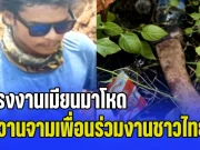 แรงงานเมียนมาโหด! ขวานจามเพื่อนร่วมงานชาวไทย ดับอนาถคาเก้าอี้ผ้าใบ ก่อนชิงรถกระบะนายจ้างหลบหนี