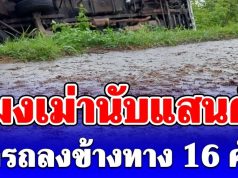 แมงเม่านับแสนตัว ทำรถลงข้างทาง 16 คัน อันตรายมาก!