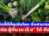 สุดยอดผักใบเขียว สารอาหารล้นถ้วย ช่วยดูแลร่างกาย จากภายใน