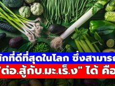 สุดยอดผักใบเขียว สารอาหารล้นถ้วย ช่วยดูแลร่างกาย จากภายใน