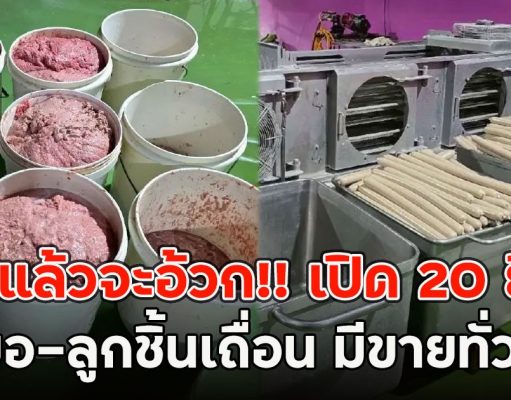 เห็นแล้วจะอ้วก!! เปิด 20 ยี่ห้อ หมูยอ-ลูกชิ้นเถื่อน มีขายทั่วไทย