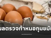 สาวกินไข่วันละ 4 ฟอง หวังลดน้ำหนัก 5 เดือนผ่าน ผลสุขภาพ หมอกุมขมับ
